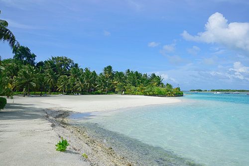Een paradijselijk strand