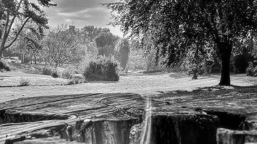 Dreams in SW by JM BilderBude