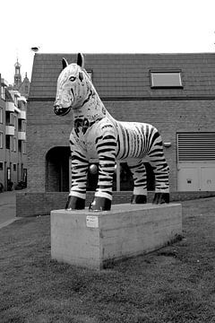 Alkmaar Hollande du Nord Noir et Blanc