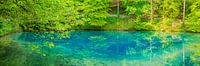 Blautopf in Blaubeuren van Walter G. Allgöwer thumbnail