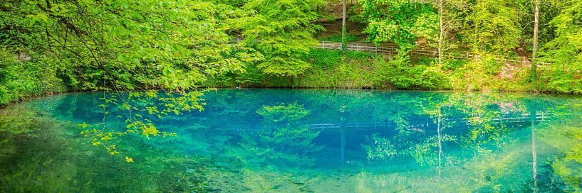 Blautopf in Blaubeuren van Walter G. Allgöwer