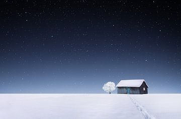 Winter van Bess Hamiti