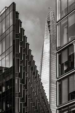 Needle Tower van Rob Boon