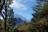 Regenwoud en besneeuwde bergtoppen op weg naar Milford in Nieuw Zeeland van Aagje de Jong thumbnail