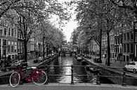 Leidsegracht Amsterdam van Peter Bartelings thumbnail