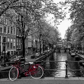 Leidsegracht Amsterdam van Foto Amsterdam/ Peter Bartelings