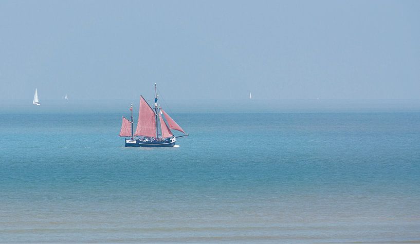 2384 Nele by Adrien Hendrickx