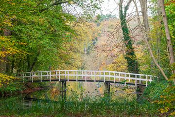 Pont sur l'eau dans un paysage de forêt sur Jurjen Jan Snikkenburg