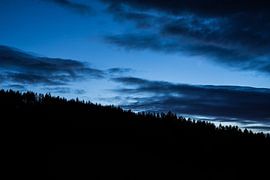Allemagne, silhouette d'un ciel nocturne bleu sur des arbres de la forêt noire sur adventure-photos