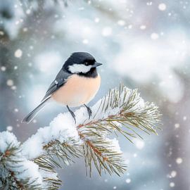 Winterliche Meise im Schnee von Poster Art Shop