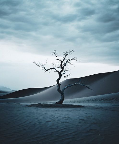 Esthetisch minimalisme van fernlichtsicht