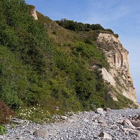 chalk cliffs - island of Rügen by Babetts Bildergalerie