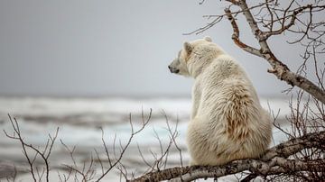 IJsbeer staart over het uitgestrekte ijzige landschap van Klaus Tesching - Art-AI