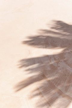 Schaduw palmbladeren van Levfotografie