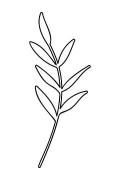 Botanische basis. Zwart-wit tekening van eenvoudige bladeren nr. 9 van Dina Dankers