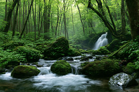 Der verwunschene Wasserfall