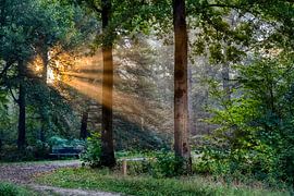Breda Liesbos in de mist