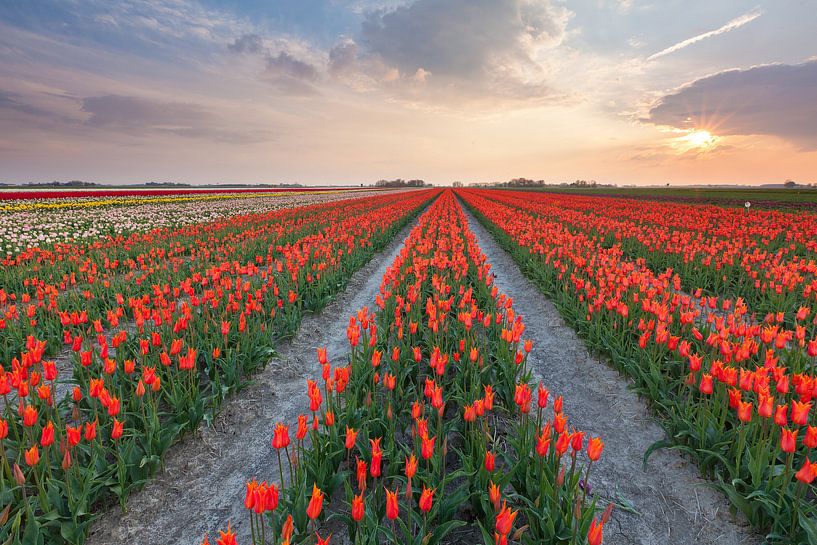 Sunset at Zijldijk by Ron Buist