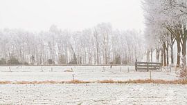Nebel und Schnee auf den Feldern von Truus Nijland