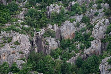 Close-up van groen begroeide rotsen in Noorwegen van Manon Verijdt