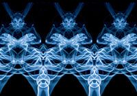 Smoke Art - Warriors I