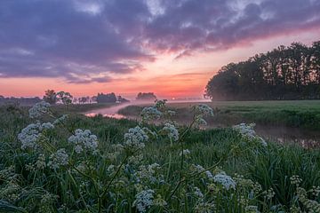 bewolkte zonsopgang langs het kanaal van Daphne Kleine