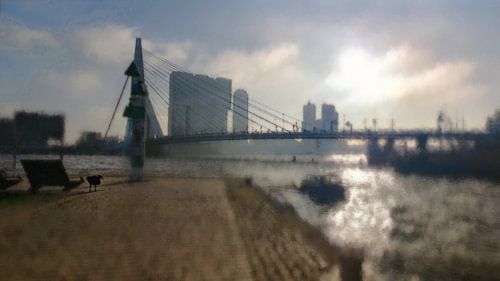 Late herfstdag aan de Maas