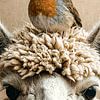 Onverwachte vriendschap tussen roodborstje en alpaca van Emiel de Lange