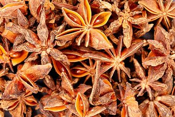 L'anis étoilé montrant des gousses de graines parfumées sur de-nue-pic