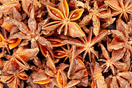 Steranijskruid met geurige zaaddozen