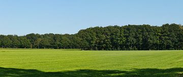 paysage de fond Drenthe sur Wim vd Neut