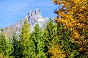 Herbstwald und die Bischofsmütze