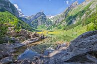 Alpensee Schweiz von Cor de Bruijn Miniaturansicht