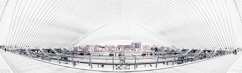 Panorama van de moderne architectuur van het treinstation in Luik