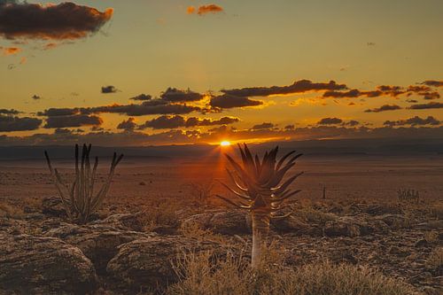 Laatste licht - zonsondergang in de uitgestrektheid van Namibië