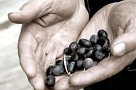 Olives, olijven, Italie, sfeer, food van Liesbeth Govers voor OmdeWest.com thumbnail