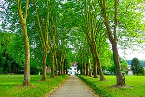 Somewhere in France van Harry Hadders