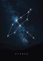 Celestial Swan: Cygnus Constellation Poster