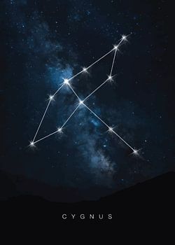 Himmlischer Schwan: Sternbild Cygnus Poster