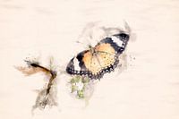 Two Cethosia cyanus butterflies (watercolor edit)