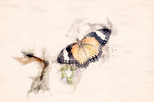 Zwei Cethosia cyanus Schmetterlinge (Aquarellbearbeitung)