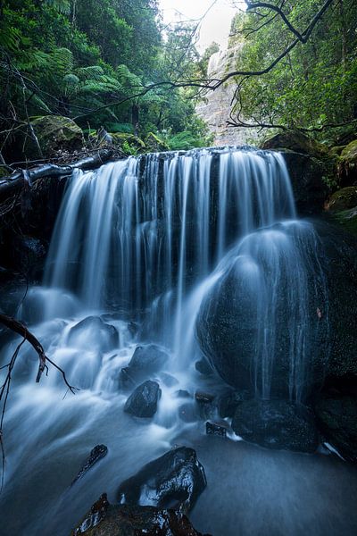 Blue Mountains Dschungel Schlucht Wasserfall von Jiri Viehmann