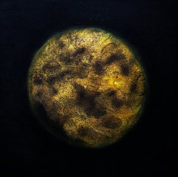 De fascinerende volle maan van Bianca van der Reijden