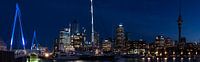 Auckland panorama by Richard Wareham thumbnail