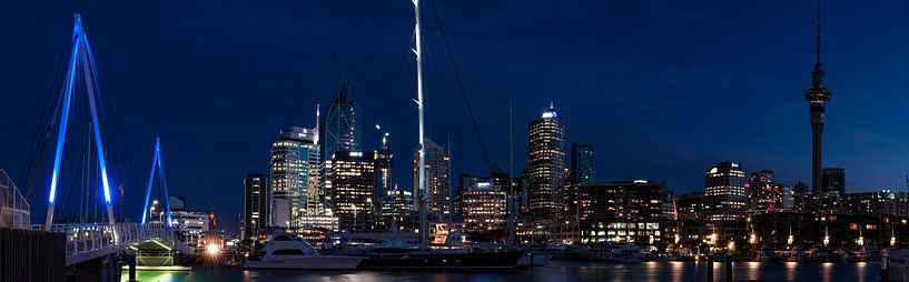 Auckland panorama by Richard Wareham