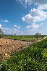 Hollandse molen van Moetwil en van Dijk - Fotografie