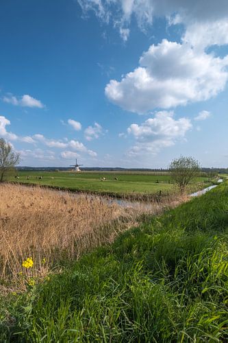 Hollandse molen