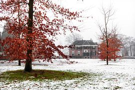 Rode herfstbomen in sneeuw – Nederlands winterlandschap van Dutch Creator