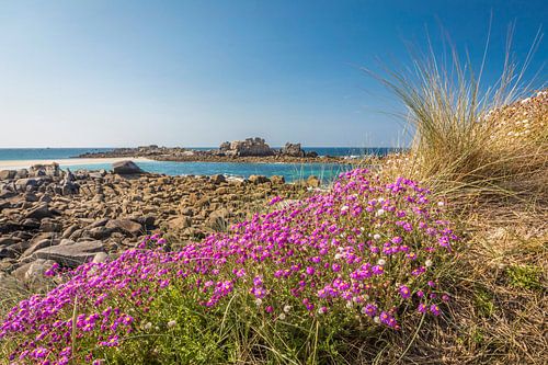 Plage de Rêve, Cléder, Bretagne
