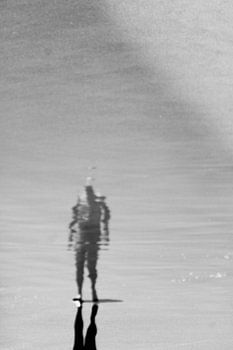 The Creatures of Poseidon